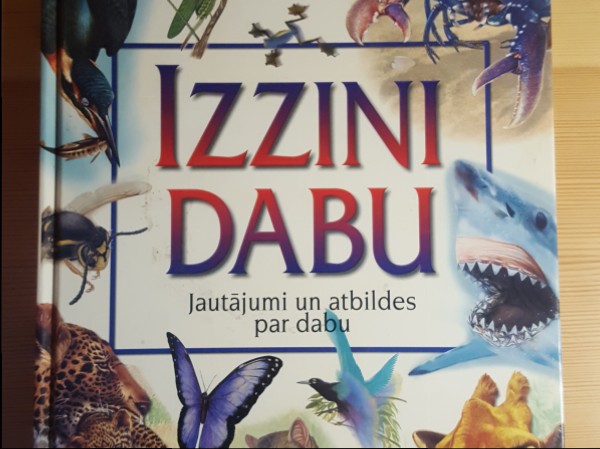 Izzini dabu