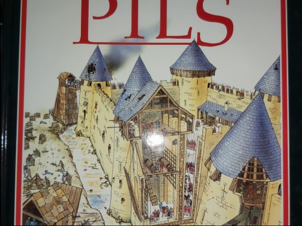 Viduslaiku pils