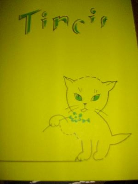 Tincis