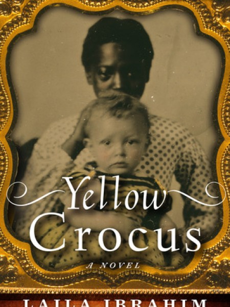 Yellow Crocus