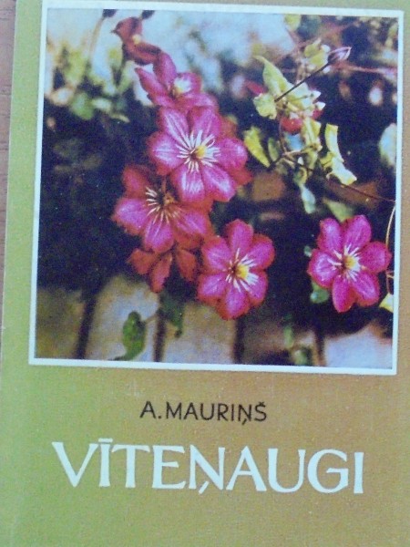 Vīteņaugi