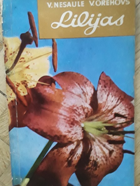 Lilijas