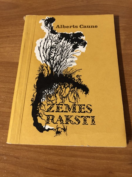 Zemes raksti