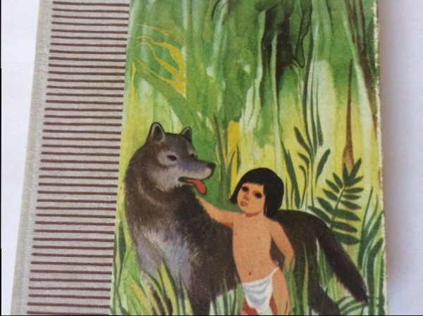 Džungļu grāmata