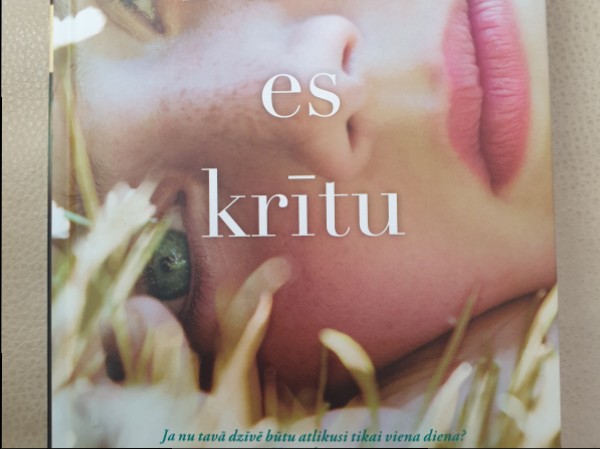 Pirms es krītu