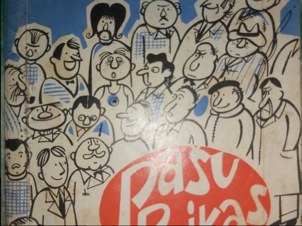 Pašu puikas