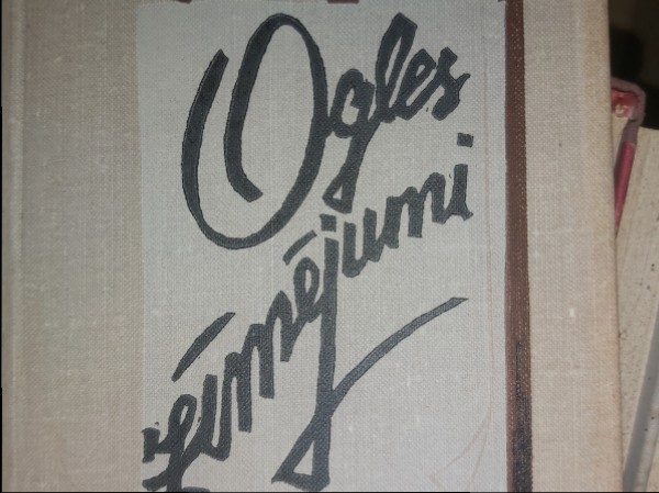 Ogles zīmējumi
