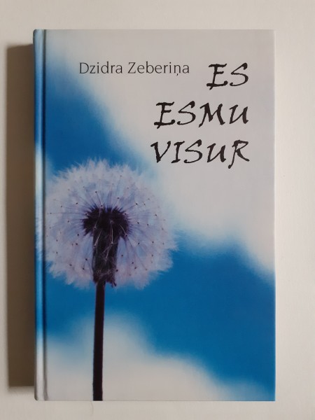 Es esmu visur