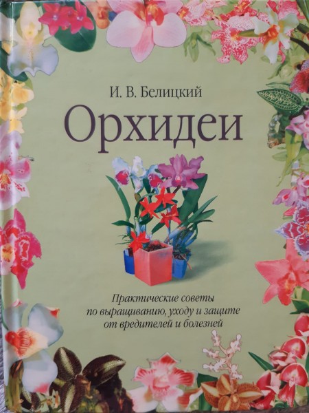 Orhidejas