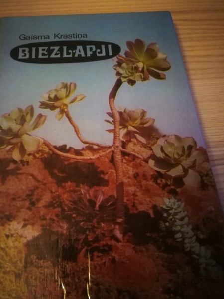 Biezlapji
