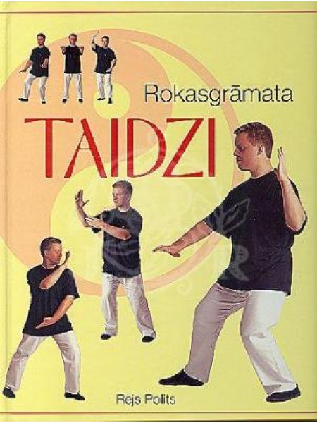 Taidzi