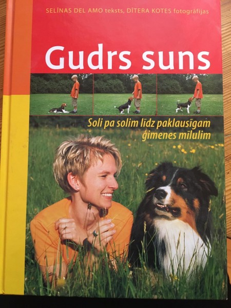 Gudrs suns
