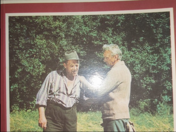 Kino pasaule 1987