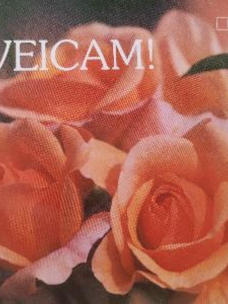 Sveicam!