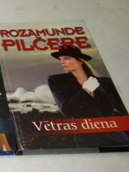 Vētras diena