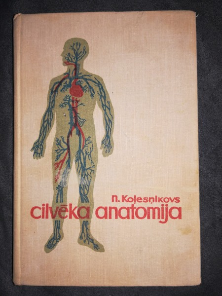 Cilvēka anatomija
