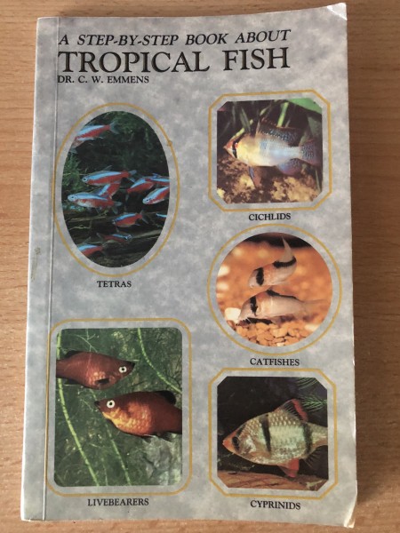 Tropical fish