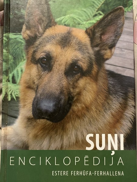 Suņi