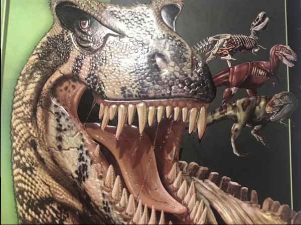 Dinozauri