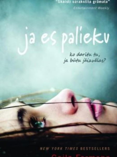 Ja es palieku