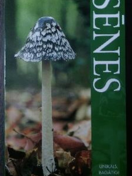 Sēnes