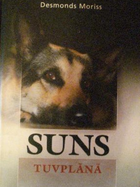 Suns tuvplānā