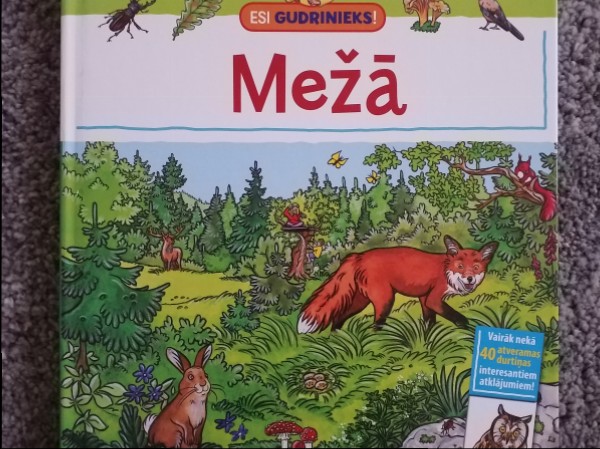 Mežā