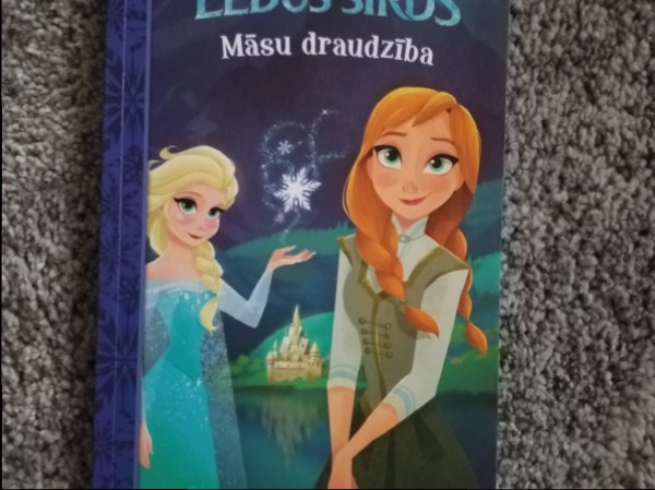 Ledus sirds