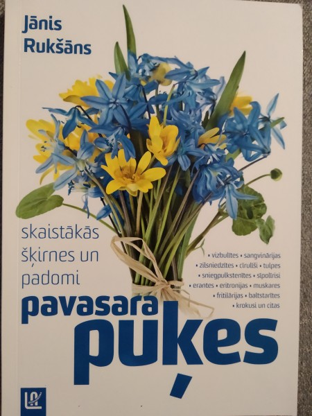 Pavasara puķes