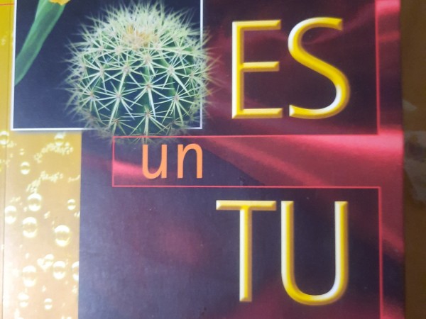 Es un tu