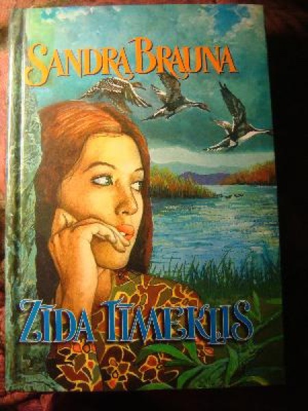 Zīda tīmeklis