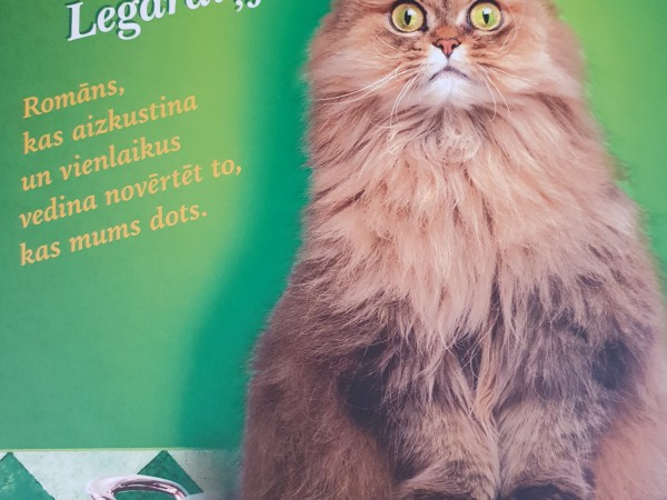 Pilnīgs ku-kū