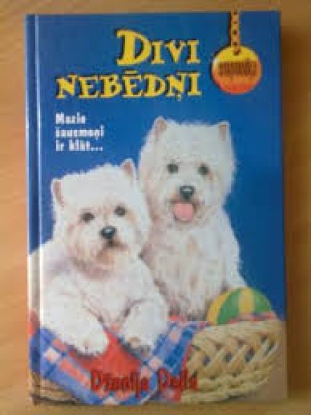 Divi nebēdņi