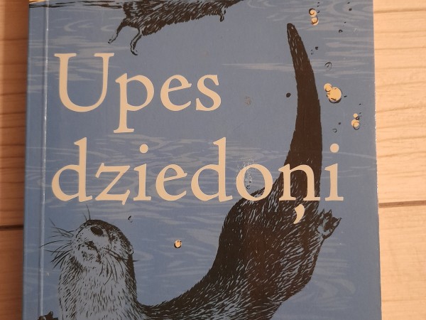 Upes dziedoņi