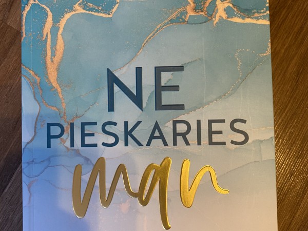 Nepieskaries man