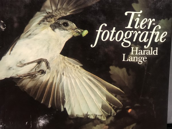 Tier-fotografie