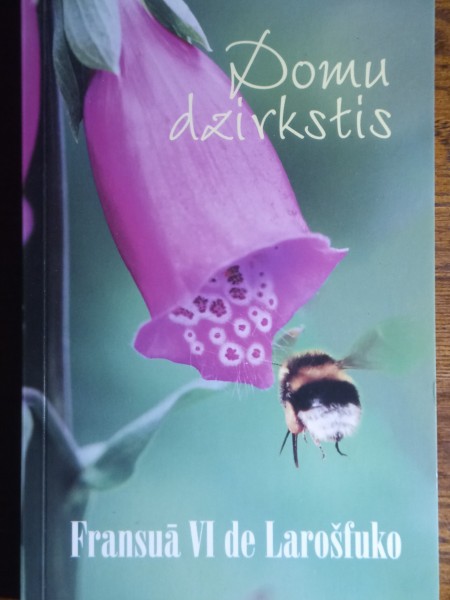 Domu dzirkstis
