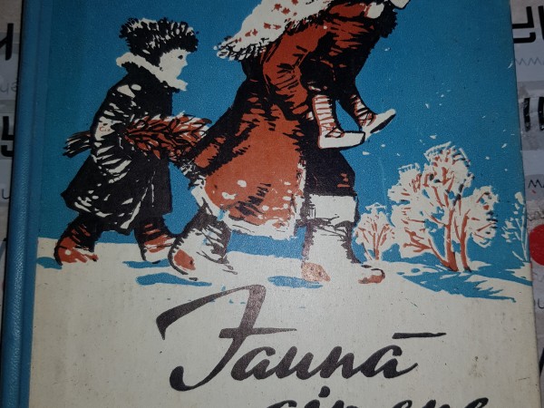 Jaunā ģimene