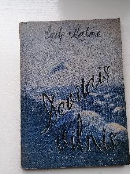Devītais vilnis