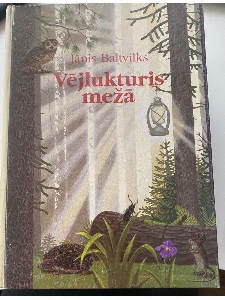 Vējlukturis mežā