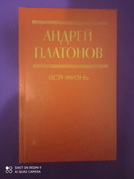 Вся жизнь