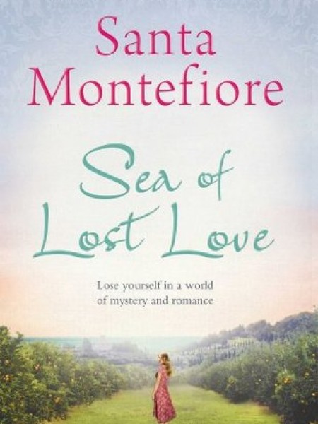 Sea of lost love