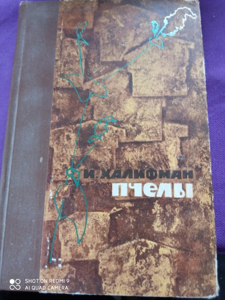Пчелы