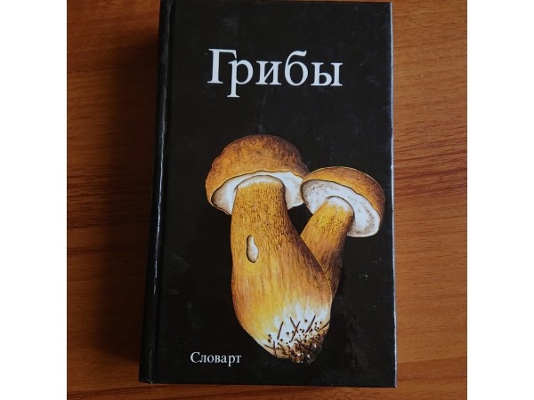 Грибы