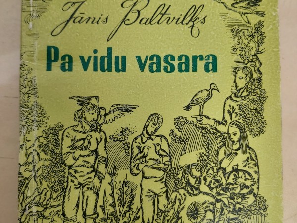 Pa vidu vasara