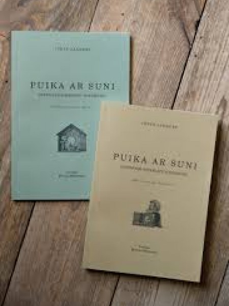 Puika ar suni