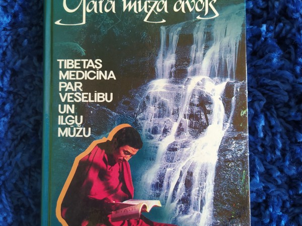 Gara mūža avots