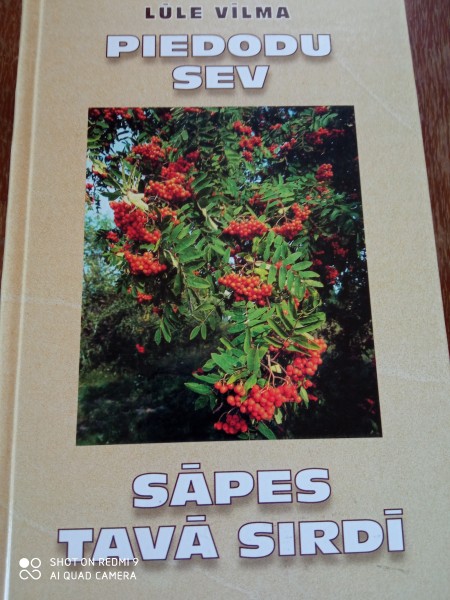 Piedodu sev, sāpes tavā sirdī