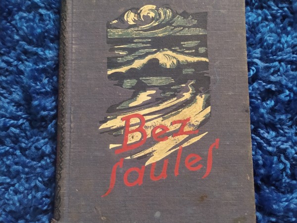 Bez saules