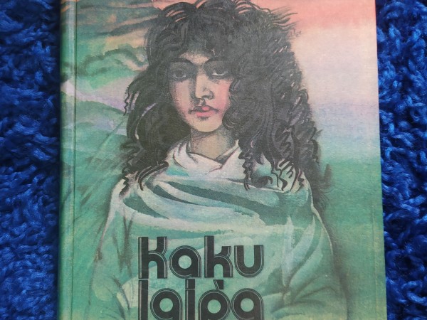 Kaķu laipa